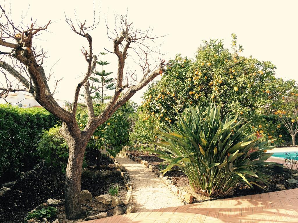 Villa Vilamar 포르체스 객실 사진