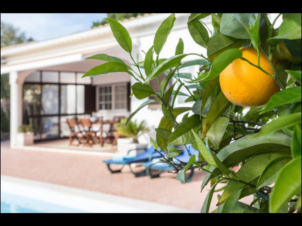Villa Vilamar 포르체스 외부 사진